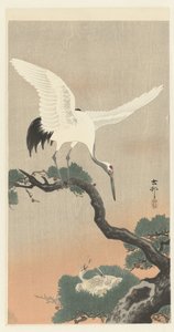 松の枝にタンチョウ 作： Ohara Koson
