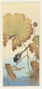 ハスのセキレイ 作： Ohara Koson