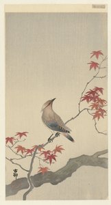 もみじにレンジャク。 作： Ohara Koson