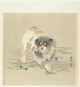 若い犬 作： Ohara Koson