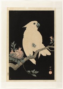 ザクロとオウム 作： Ohara Koson
