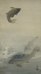 鯉