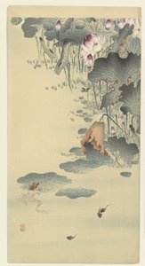 カエルとオタマジャクシ 作： Ohara Koson