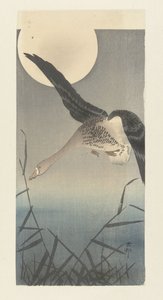 満月のマガン 作： Ohara Koson