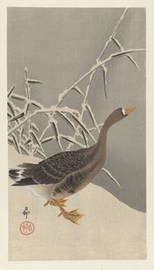 雪の中のマガン 作： Ohara Koson