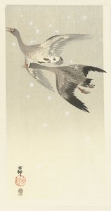雪の中を飛ぶマガン