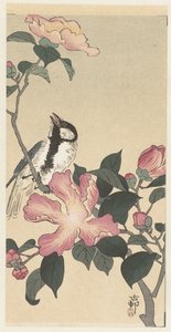 ピンクの花の枝にシジュウカラ 作： Ohara Koson