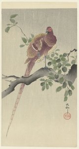 コペルファザント 作： Ohara Koson