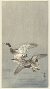 ペアのアヒル 作： Ohara Koson
