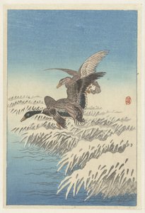 雪に覆われた葦の上を飛ぶカモの群れ 作： Ohara Koson