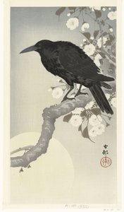 満月のカラス
