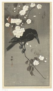 桜とカラス 花桜のとり