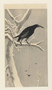 雪に覆われた木の枝にカラス。