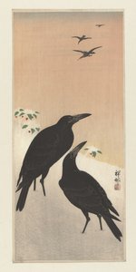 雪の中のカラス