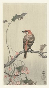 木の枝にハシビロコウ 作： Ohara Koson