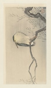 ギザギザの枝にワニ。