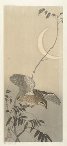 三日月のウズラ 作： Ohara Koson