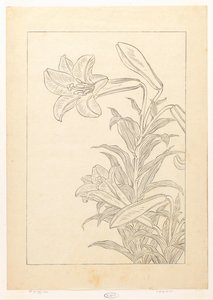 レリーズ 作： Ohara Koson