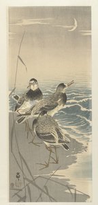三日月のシギ 作： Ohara Koson