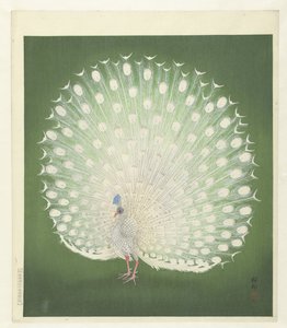 孔雀 作： Ohara Koson