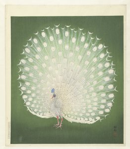 ピーコック 作： Ohara Koson