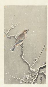雪に覆われた枝にワックスウィングの鳥 作： Ohara Koson