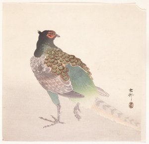 キジ（色木版画） 作： Ohara Koson
