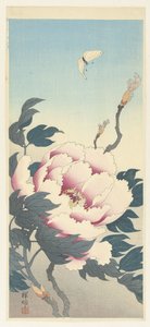 蝶と牡丹