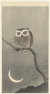 裸の木の枝にメンフクロウ 作： Ohara Koson