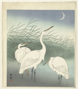 浅瀬のサギ 作： Ohara Koson