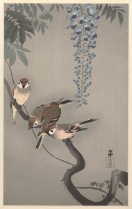 藤にすずめを鳴らす 作： Ohara Koson