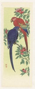赤と青のオウム
