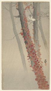レッドアイビー 作： Ohara Koson
