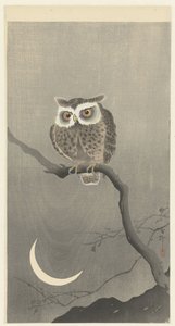 枝の上のフクロウと三日月 作： Ohara Koson