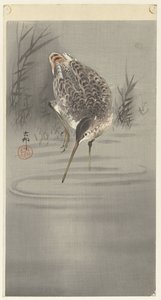 水で切る 作： Ohara Koson