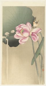 ソングバードとロータス 作： Ohara Koson