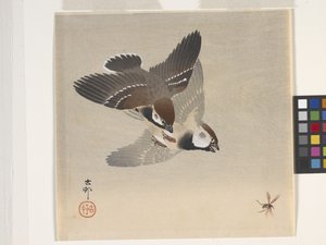 飛んでいる昆虫を追いかけるスズメ（カラー木版画）