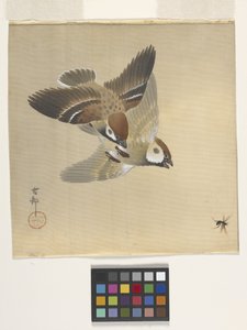 飛ぶ虫を追うスズメ（絹本に墨・彩色）
