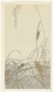 イネのバッタ 作： Ohara Koson
