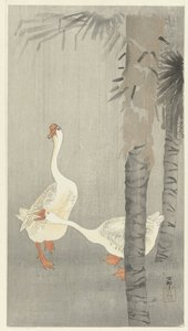 雨の中でタンメ 作： Ohara Koson