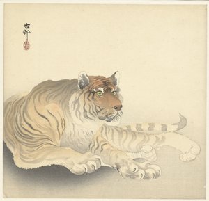 虎