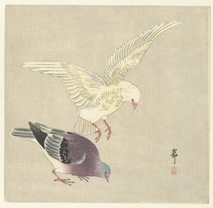 二羽のハト