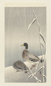 雪に覆われた葦原の 2 羽のアヒル 作： Ohara Koson