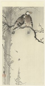 2 つのムクドリ 作： Ohara Koson