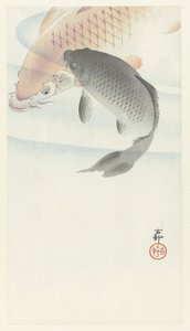 2匹の鯉