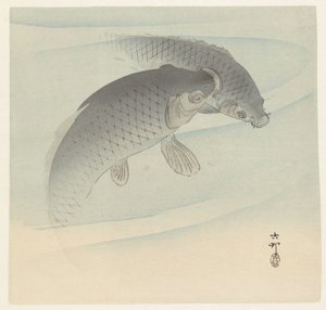 2匹の鯉