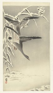 雪景色の中の 2 つのマガン