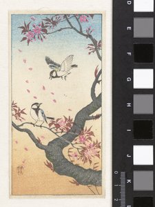 開花木の近くの 2 つの大きなおっぱい 作： Ohara Koson
