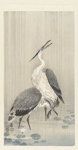 雨の中の 2 つのサギ 作： Ohara Koson