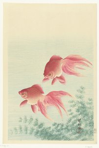 ベールテイル金魚 2匹 作： Ohara Koson